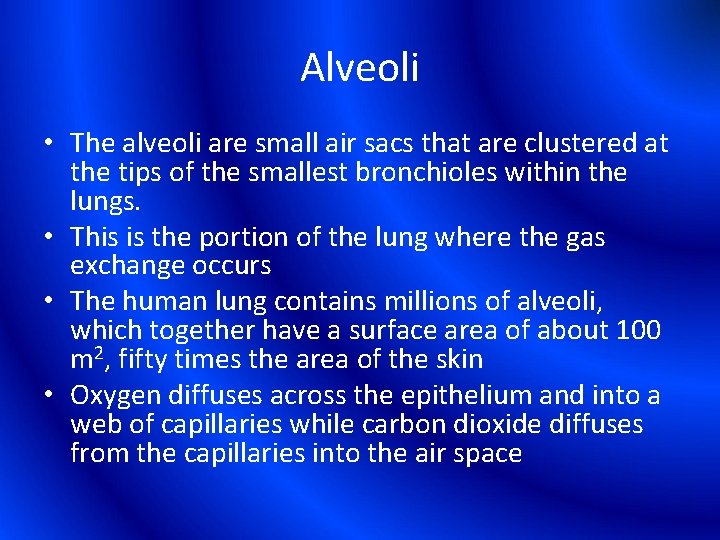 Alveoli • The alveoli are small air sacs that are clustered at the tips