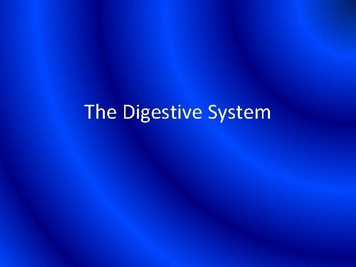 The Digestive System 