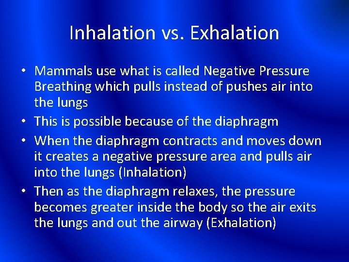 Inhalation vs. Exhalation • Mammals use what is called Negative Pressure Breathing which pulls