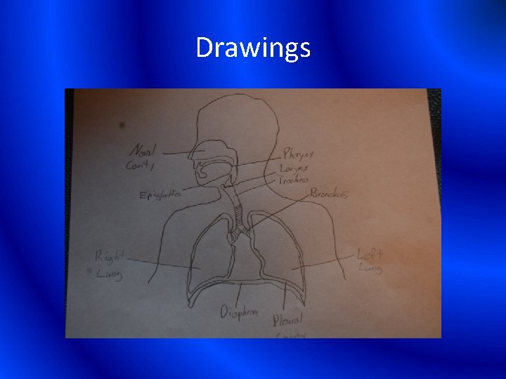 Drawings 