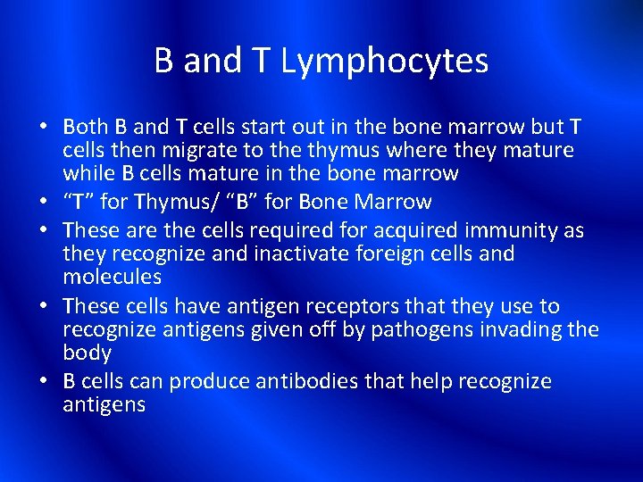 B and T Lymphocytes • Both B and T cells start out in the