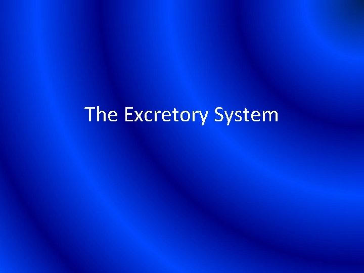 The Excretory System 