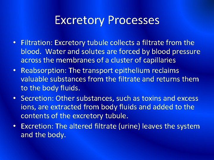 Excretory Processes • Filtration: Excretory tubule collects a filtrate from the blood. Water and