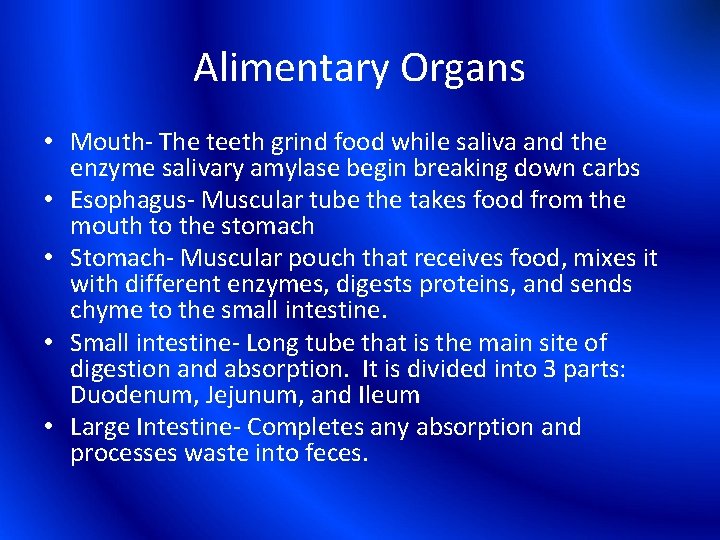Alimentary Organs • Mouth- The teeth grind food while saliva and the enzyme salivary