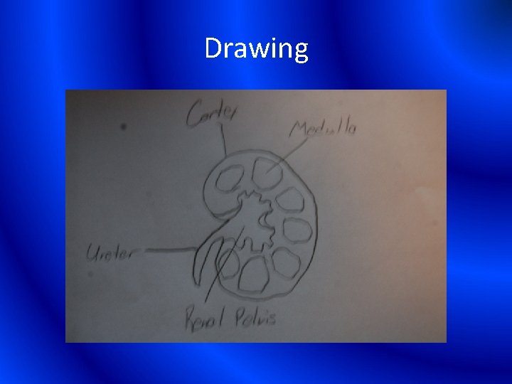 Drawing 
