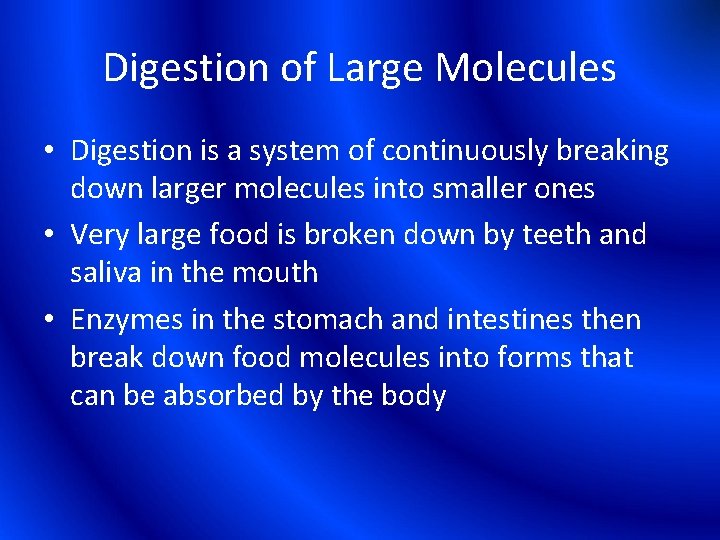Digestion of Large Molecules • Digestion is a system of continuously breaking down larger