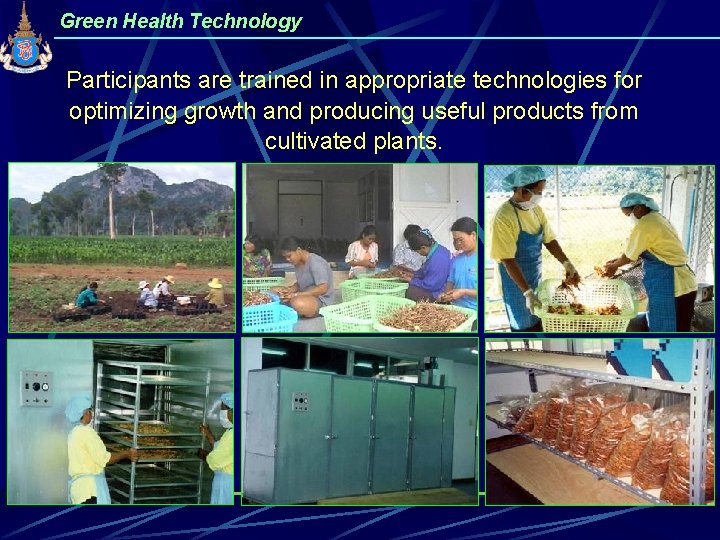 Green Health Technology Participants are trained in appropriate technologies for optimizing growth and producing