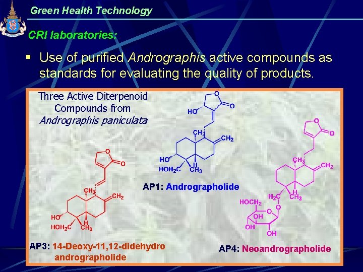 Green Health Technology CRI laboratories: § Use of purified Andrographis active compounds as standards