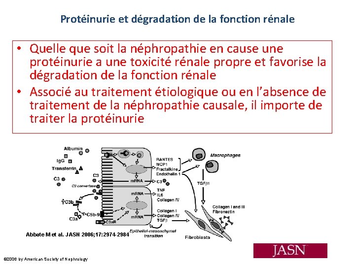 . Protéinurie et dégradation de la fonction rénale • Quelle que soit la néphropathie