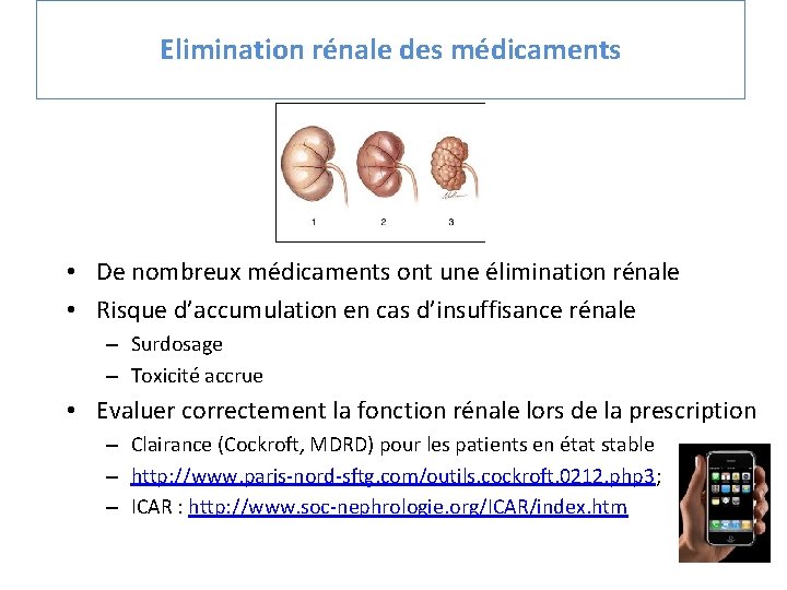 Elimination rénale des médicaments • De nombreux médicaments ont une élimination rénale • Risque