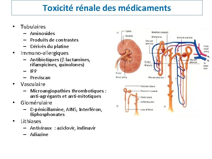 Toxicité rénale des médicaments • Tubulaires – Aminosides – Produits de contrastes – Dérivés