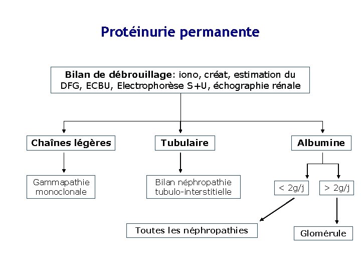 Protéinurie permanente Bilan de débrouillage: iono, créat, estimation du DFG, ECBU, Electrophorèse S+U, échographie
