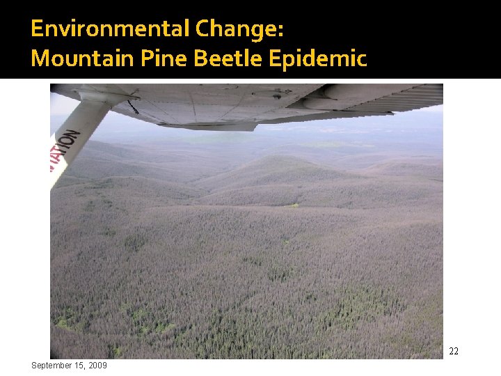 Environmental Change: Mountain Pine Beetle Epidemic 22 September 15, 2009 