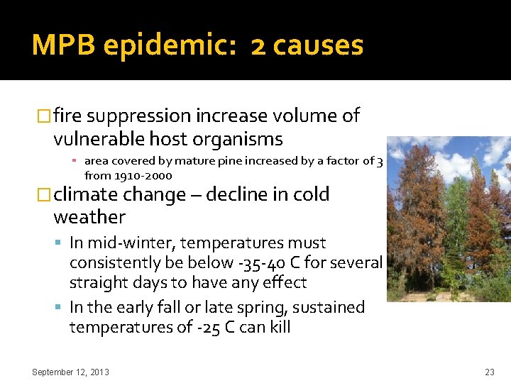 MPB epidemic: 2 causes �fire suppression increase volume of vulnerable host organisms ▪ area