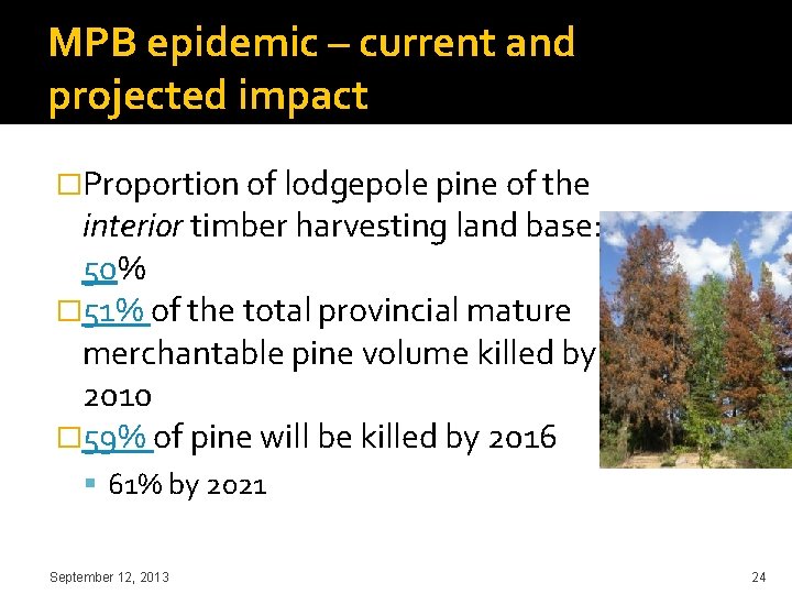 MPB epidemic – current and projected impact �Proportion of lodgepole pine of the interior