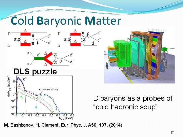 Cold Baryonic Matter DLS puzzle Dibaryons as a probes of “cold hadronic soup” M.
