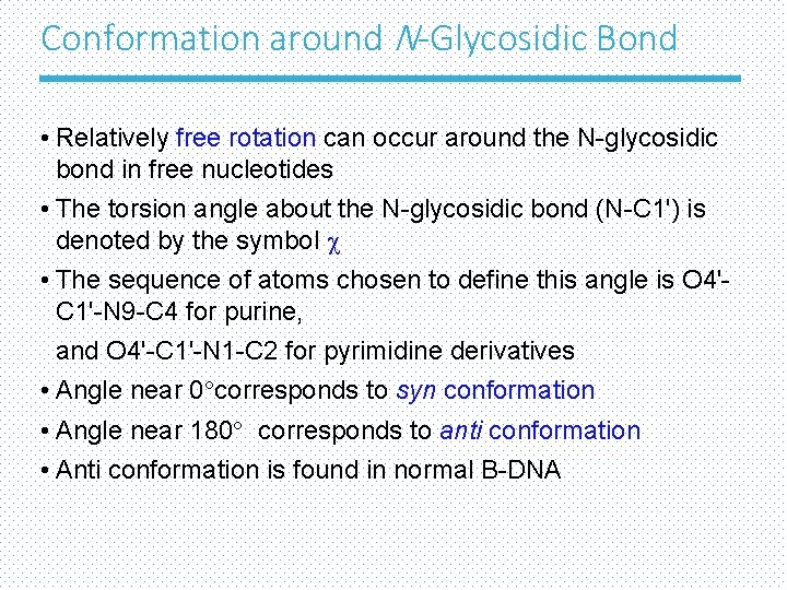 Conformation around N-Glycosidic Bond • Relatively free rotation can occur around the N-glycosidic bond