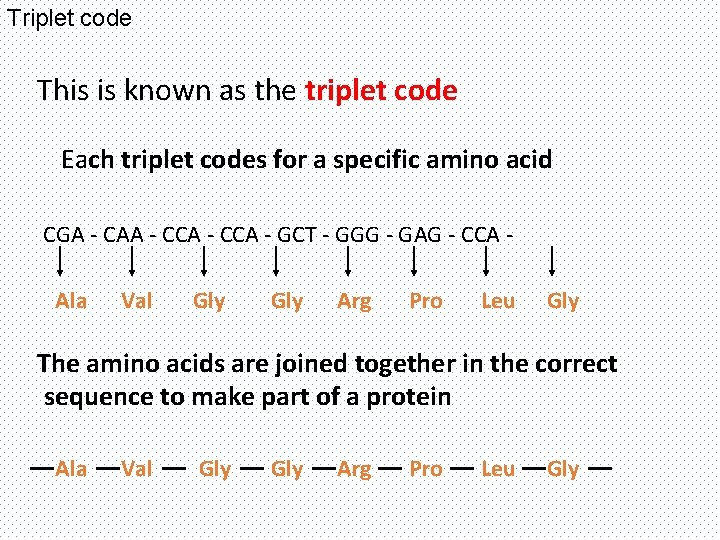 Triplet code This is known as the triplet code Each triplet codes for a