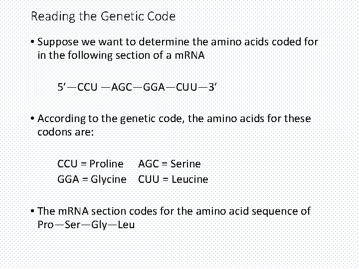 Reading the Genetic Code • Suppose we want to determine the amino acids coded