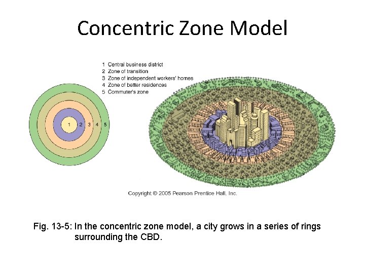 Concentric Zone Model Fig. 13 -5: In the concentric zone model, a city grows