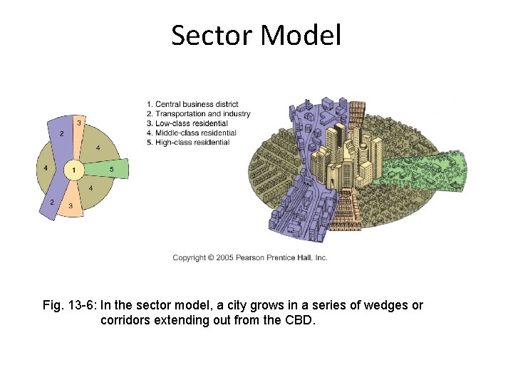 Sector Model Fig. 13 -6: In the sector model, a city grows in a