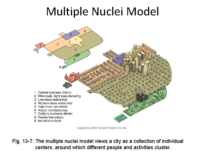 Multiple Nuclei Model Fig. 13 -7: The multiple nuclei model views a city as