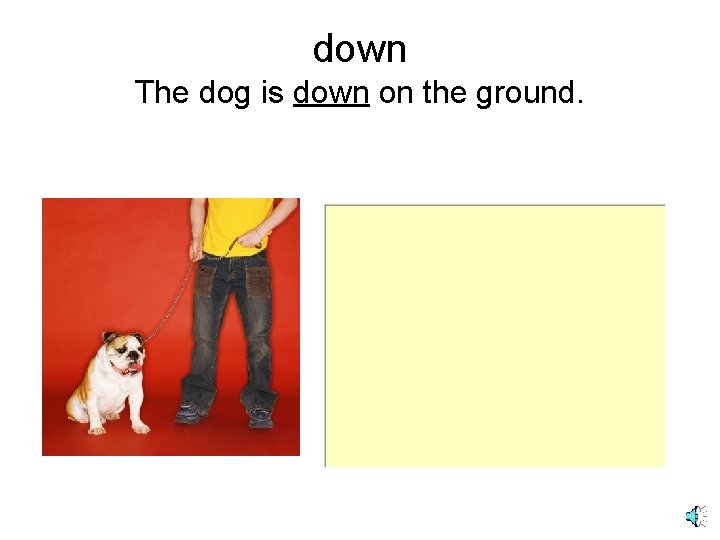 down The dog is down on the ground. 