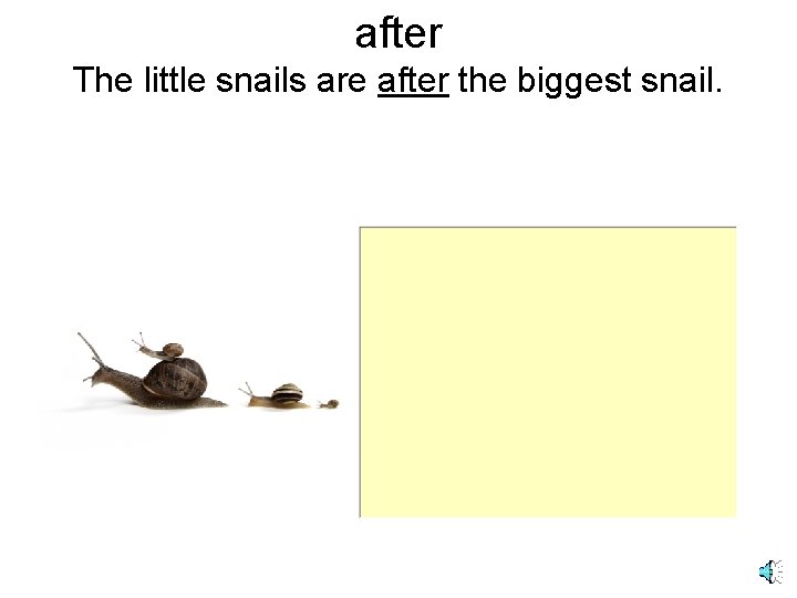 after The little snails are after the biggest snail. 