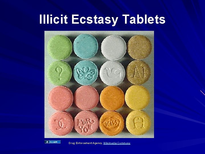 Illicit Ecstasy Tablets Drug Enforcement Agency, Wikimedia Commons 