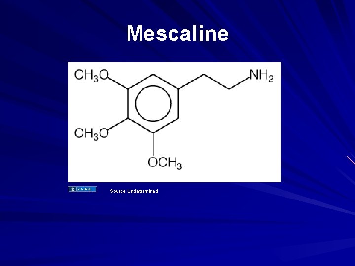 Mescaline Source Undetermined 