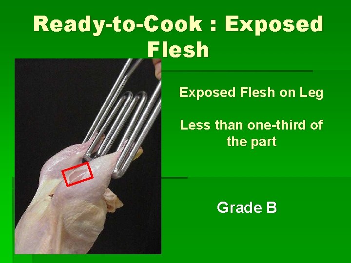 Ready-to-Cook : Exposed Flesh on Leg Less than one-third of the part Grade B