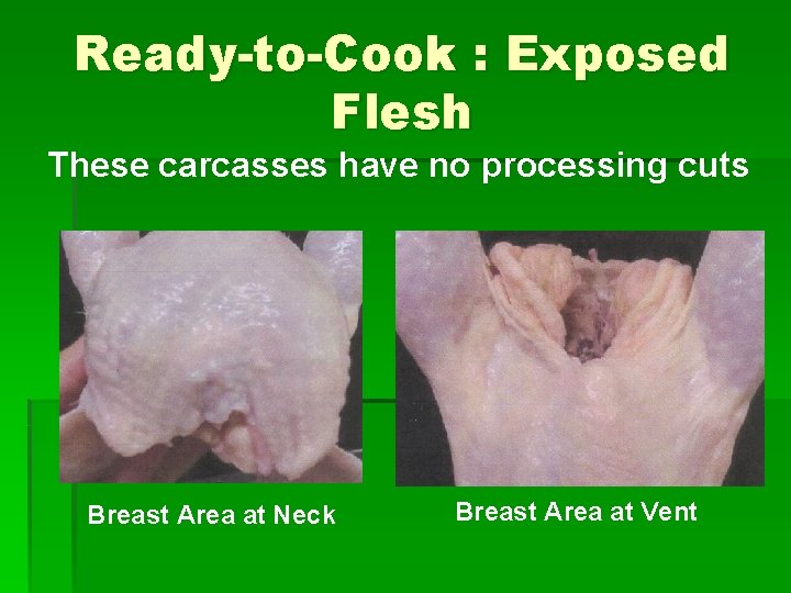 Ready-to-Cook : Exposed Flesh These carcasses have no processing cuts Breast Area at Neck