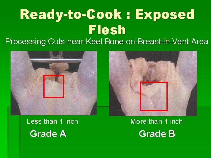 Ready-to-Cook : Exposed Flesh Processing Cuts near Keel Bone on Breast in Vent Area