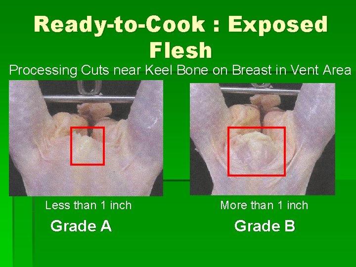 Ready-to-Cook : Exposed Flesh Processing Cuts near Keel Bone on Breast in Vent Area