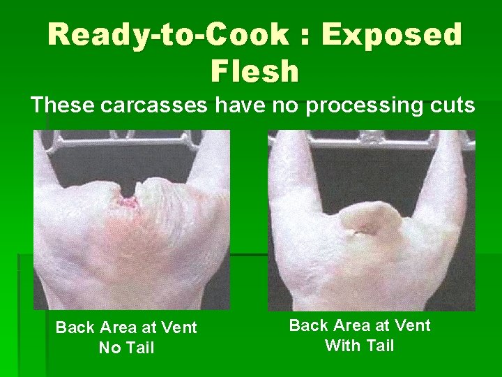Ready-to-Cook : Exposed Flesh These carcasses have no processing cuts Back Area at Vent