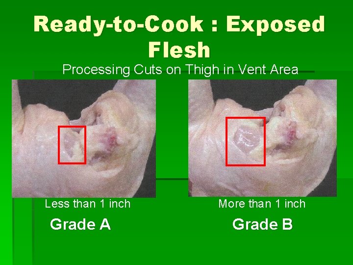 Ready-to-Cook : Exposed Flesh Processing Cuts on Thigh in Vent Area Less than 1