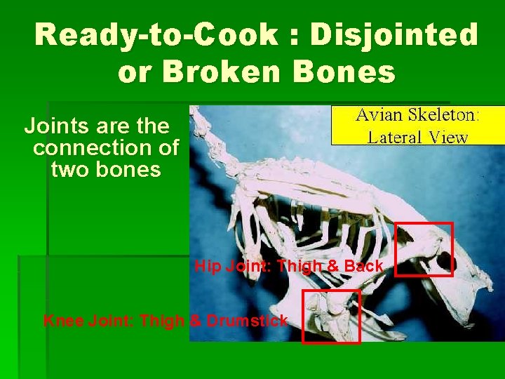 Ready-to-Cook : Disjointed or Broken Bones Joints are the connection of two bones Hip