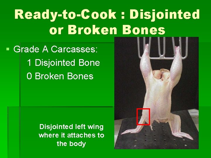 Ready-to-Cook : Disjointed or Broken Bones § Grade A Carcasses: 1 Disjointed Bone 0