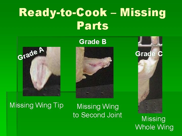 Ready-to-Cook – Missing Parts Grade B A e d a r G Missing Wing