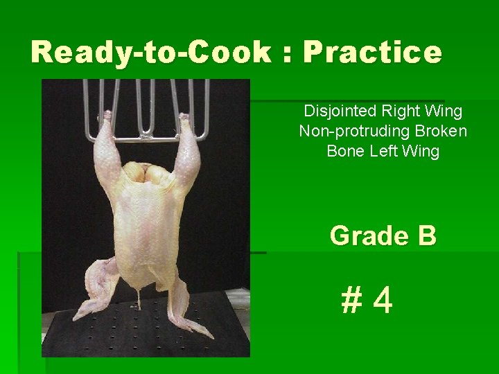 Ready-to-Cook : Practice Disjointed Right Wing Non-protruding Broken Bone Left Wing Grade B #4