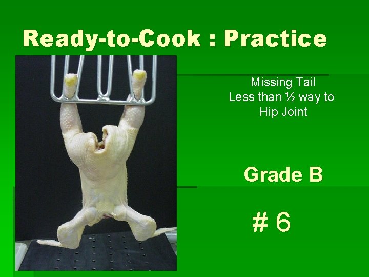 Ready-to-Cook : Practice Missing Tail Less than ½ way to Hip Joint Grade B