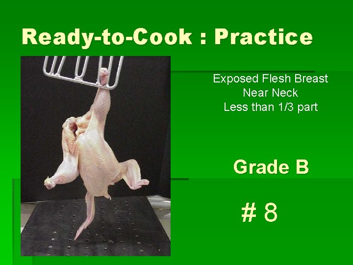 Ready-to-Cook : Practice Exposed Flesh Breast Near Neck Less than 1/3 part Grade B