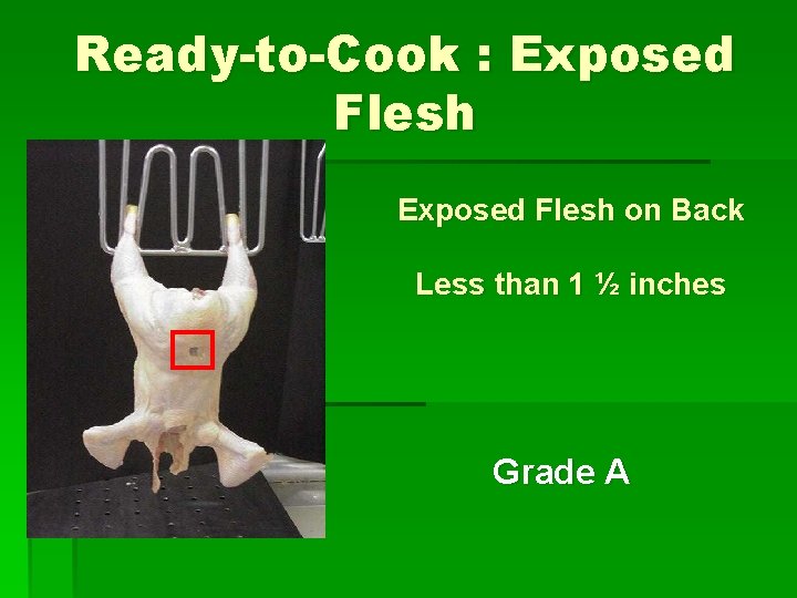 Ready-to-Cook : Exposed Flesh on Back Less than 1 ½ inches Grade A 