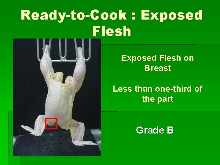 Ready-to-Cook : Exposed Flesh on Breast Less than one-third of the part Grade B