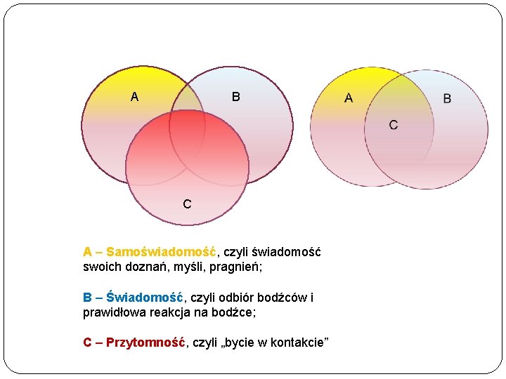 A B C A – Samoświadomość, czyli świadomość swoich doznań, myśli, pragnień; B –