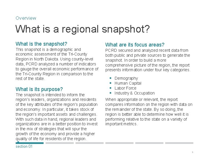 Overview What is a regional snapshot? What is the snapshot? This snapshot is a