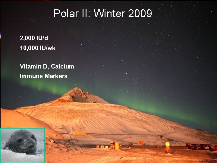 Polar II: Winter 2009 2, 000 IU/d 10, 000 IU/wk Vitamin D, Calcium Immune