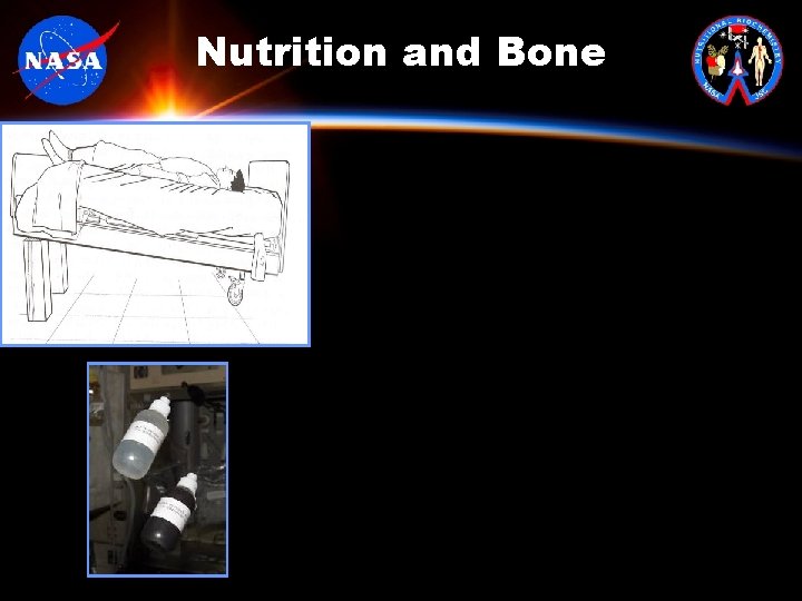 Nutrition and Bone 