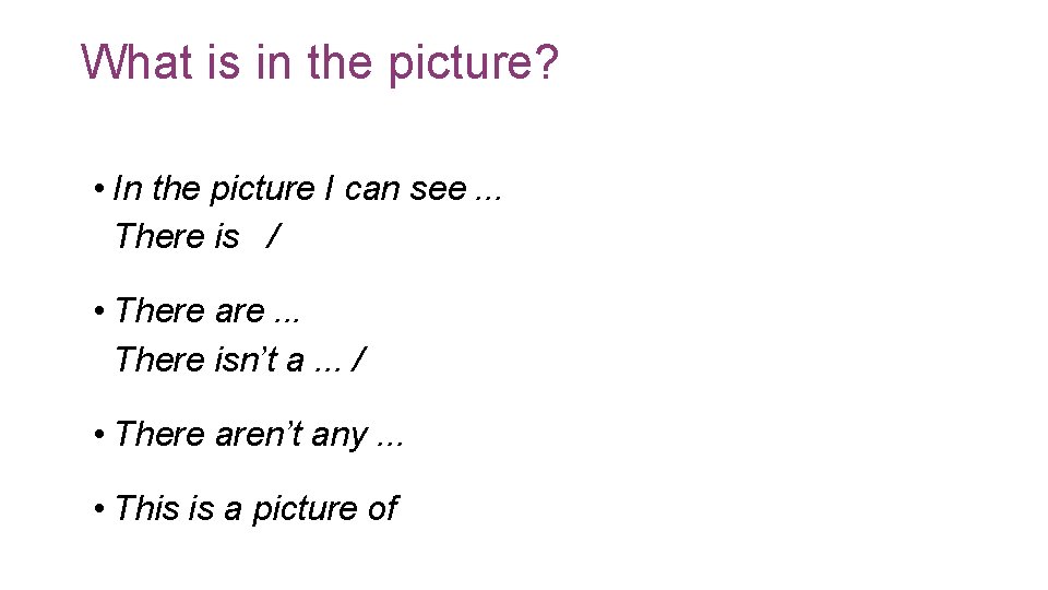 What is in the picture? • In the picture I can see. . .