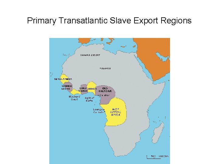 Primary Transatlantic Slave Export Regions 